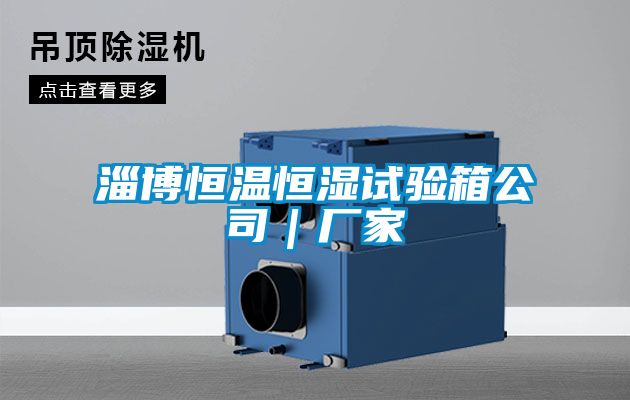淄博恒溫恒濕試驗箱公司｜廠家