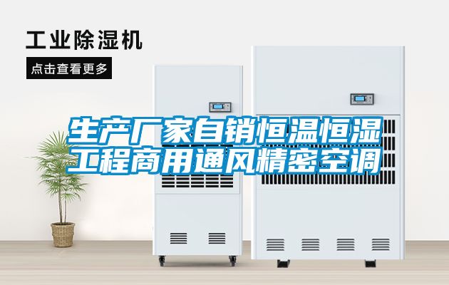 生產廠家自銷恒溫恒濕工程商用通風精密空調