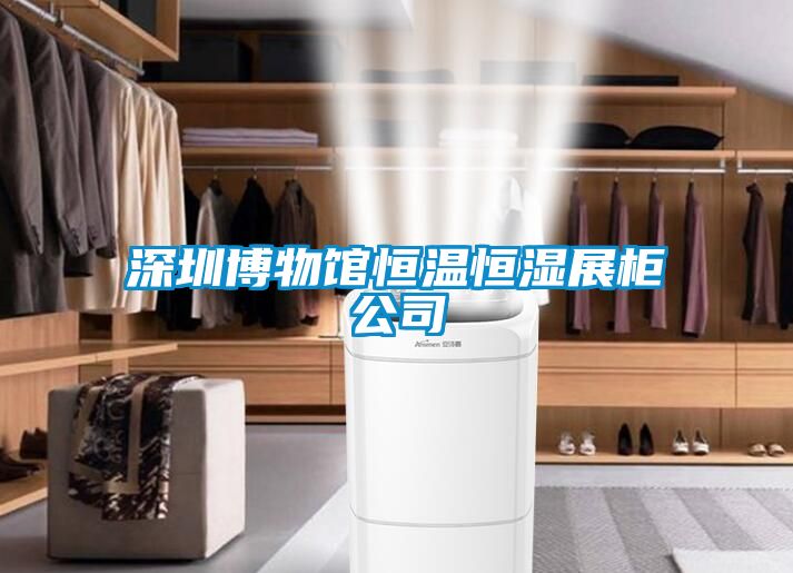 深圳博物館恒溫恒濕展柜公司
