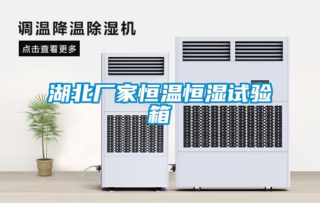 湖北廠家恒溫恒濕試驗(yàn)箱