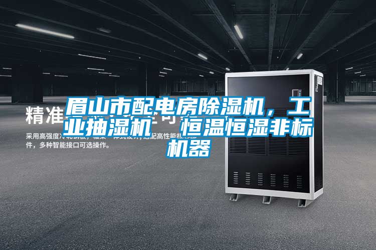 眉山市配電房除濕機，工業抽濕機  恒溫恒濕非標機器