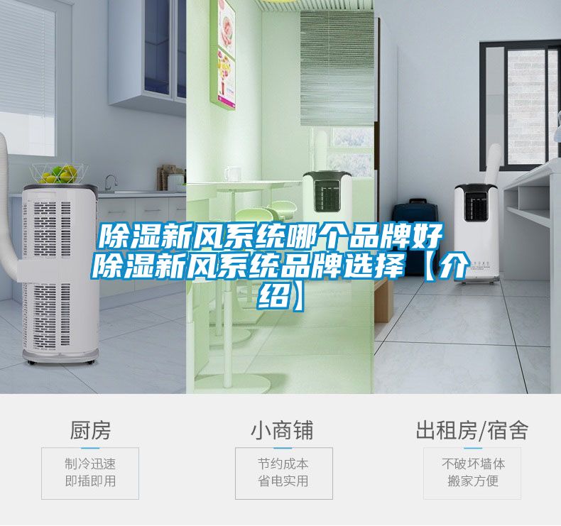 除濕新風(fēng)系統(tǒng)哪個(gè)品牌好 除濕新風(fēng)系統(tǒng)品牌選擇【介紹】