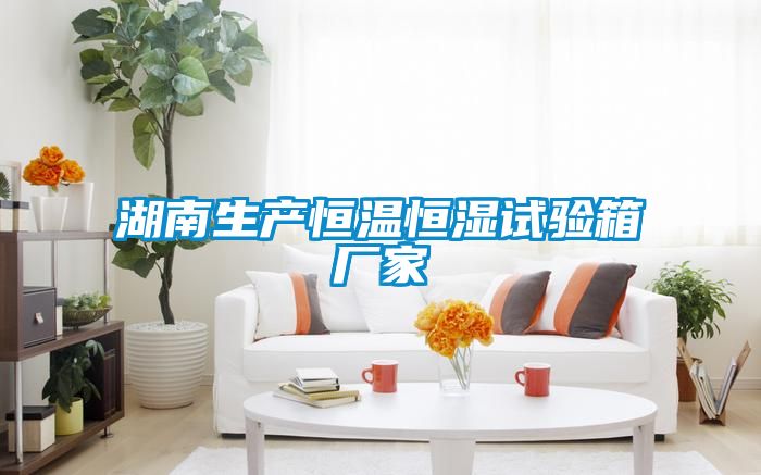 湖南生產恒溫恒濕試驗箱廠家