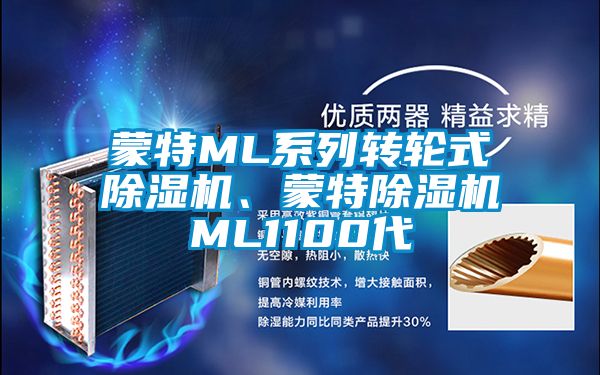 蒙特ML系列轉(zhuǎn)輪式除濕機、蒙特除濕機ML1100代
