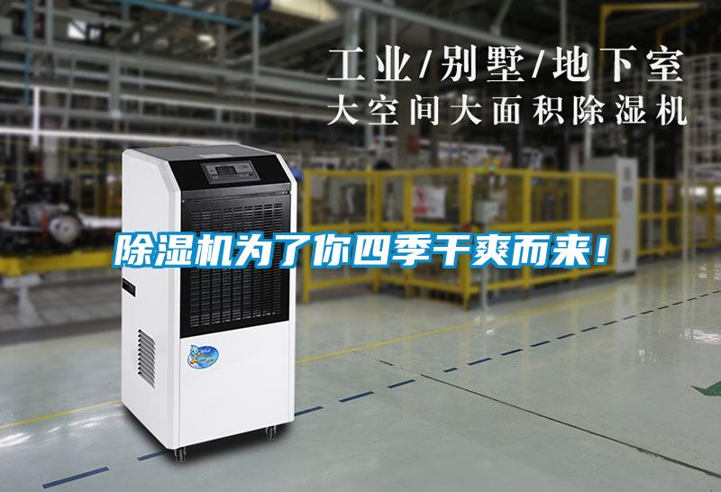 除濕機為了你四季干爽而來！