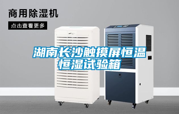 湖南長沙觸摸屏恒溫恒濕試驗箱