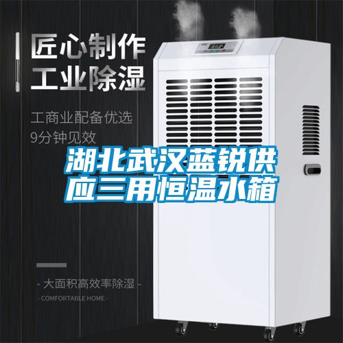 湖北武漢藍銳供應三用恒溫水箱