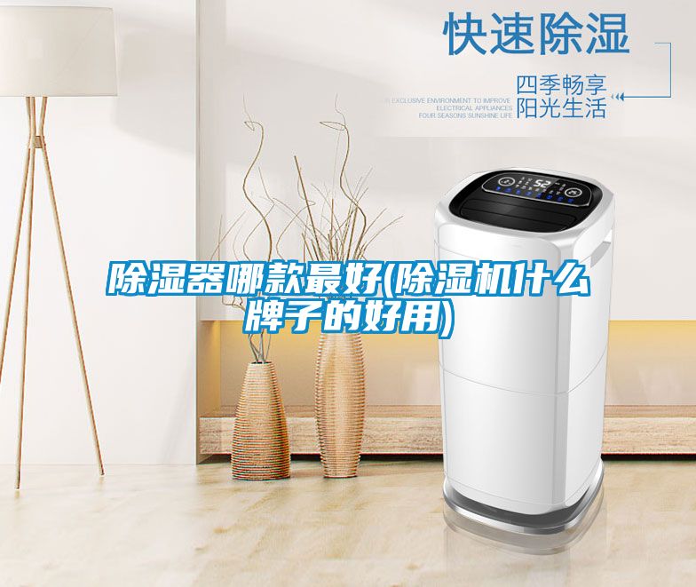 除濕器哪款最好(除濕機(jī)什么牌子的好用)