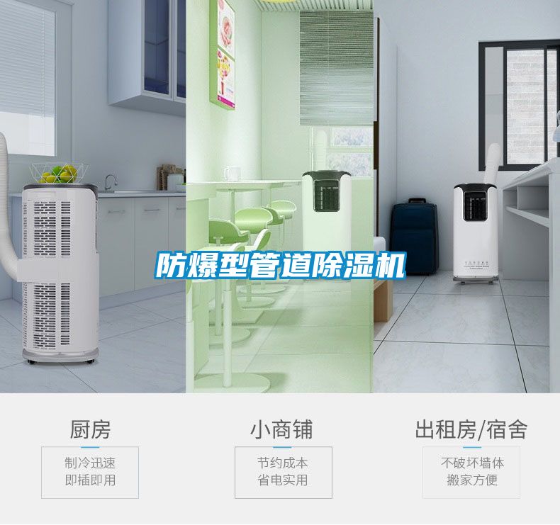 防爆型管道除濕機