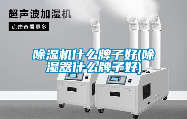 除濕機什么牌子好(除濕器什么牌子好)
