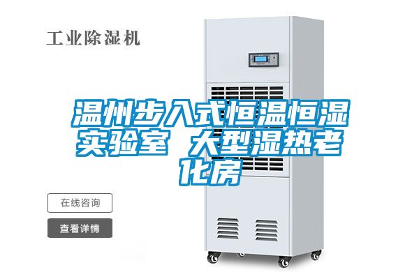 溫州步入式恒溫恒濕實驗室 大型濕熱老化房