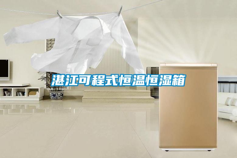 湛江可程式恒溫恒濕箱