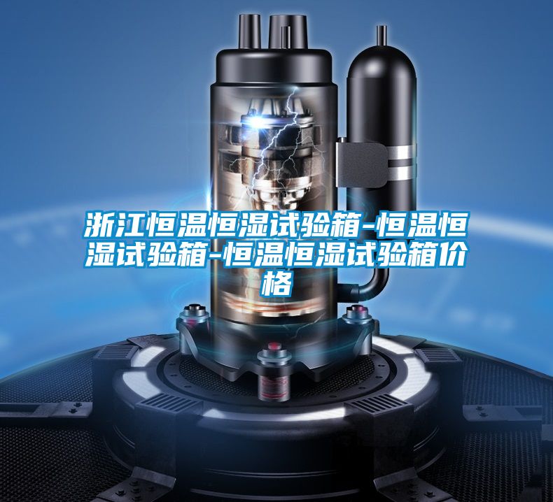 浙江恒溫恒濕試驗箱-恒溫恒濕試驗箱-恒溫恒濕試驗箱價格