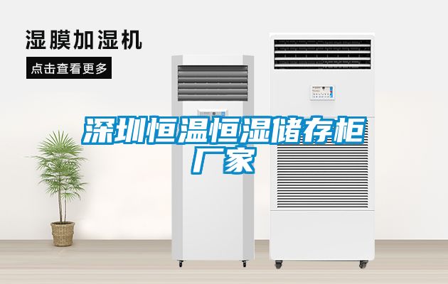 深圳恒溫恒濕儲存柜廠家