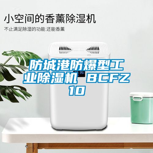 防城港防爆型工業除濕機 BCFZ10