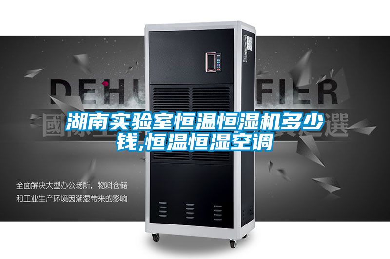 湖南實(shí)驗(yàn)室恒溫恒濕機(jī)多少錢,恒溫恒濕空調(diào)