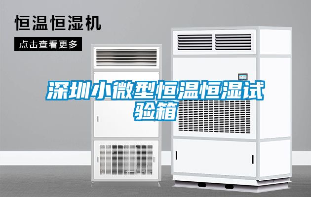 深圳小微型恒溫恒濕試驗箱