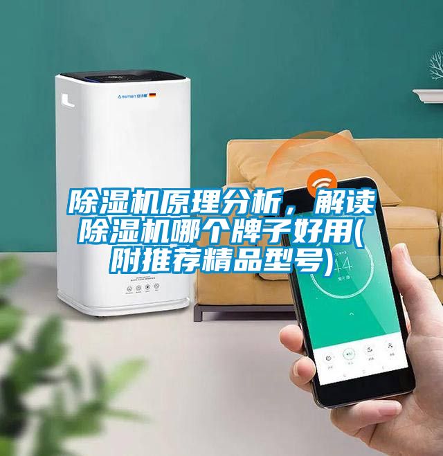 除濕機原理分析，解讀除濕機哪個牌子好用(附推薦精品型號)