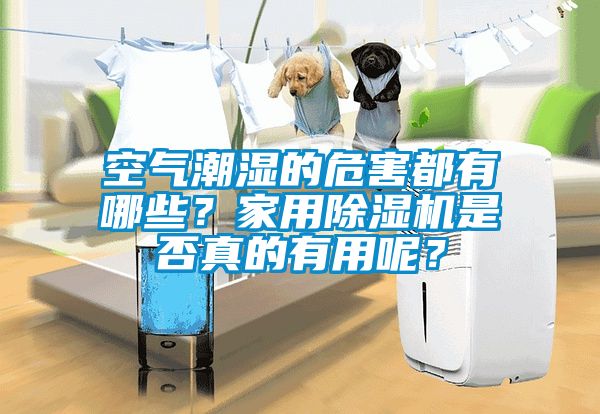 空氣潮濕的危害都有哪些？家用除濕機是否真的有用呢？