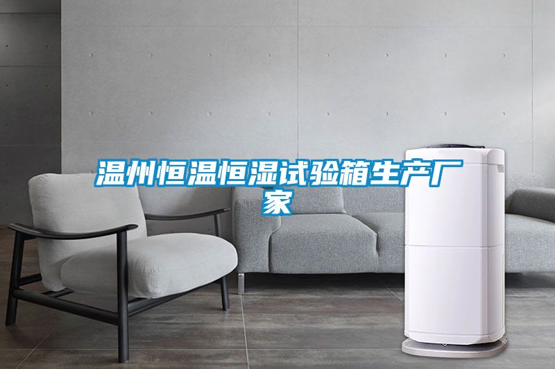 溫州恒溫恒濕試驗箱生產廠家