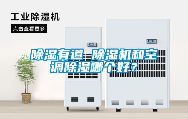 除濕有道 除濕機和空調除濕哪個好？