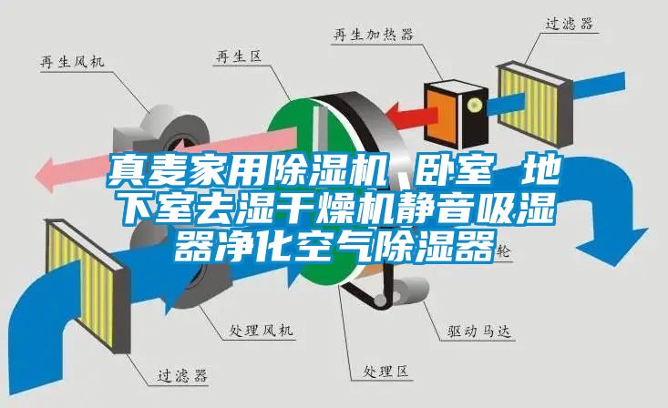 真麥家用除濕機 臥室 地下室去濕干燥機靜音吸濕器凈化空氣除濕器