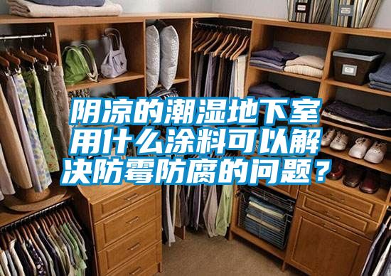 陰涼的潮濕地下室用什么涂料可以解決防霉防腐的問(wèn)題？