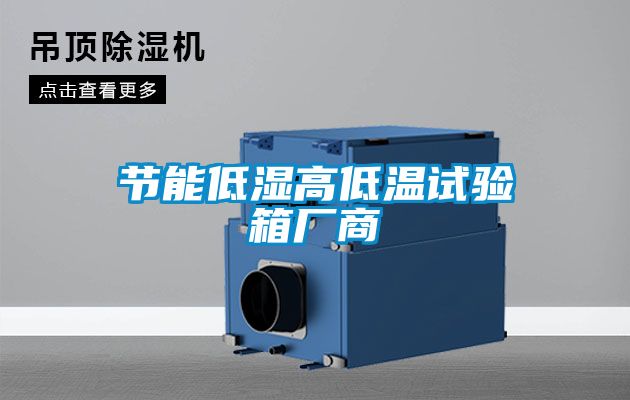 節(jié)能低濕高低溫試驗(yàn)箱廠商