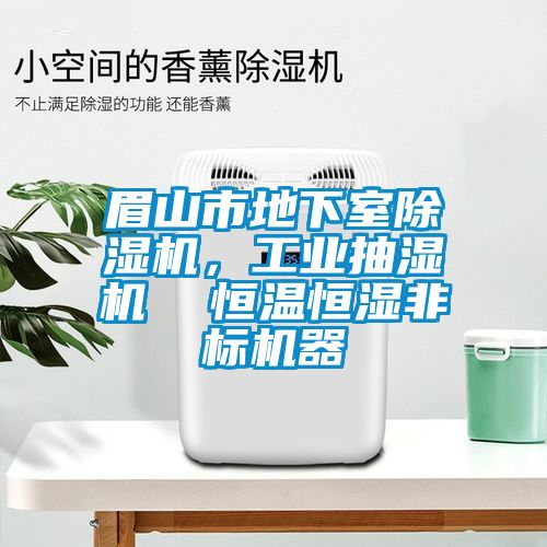 眉山市地下室除濕機，工業抽濕機  恒溫恒濕非標機器