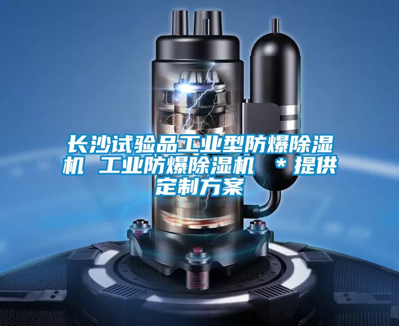長沙試驗(yàn)品工業(yè)型防爆除濕機(jī) 工業(yè)防爆除濕機(jī) ＊提供定制方案