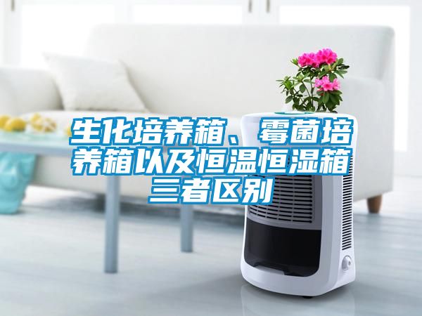 生化培養箱、霉菌培養箱以及恒溫恒濕箱三者區別