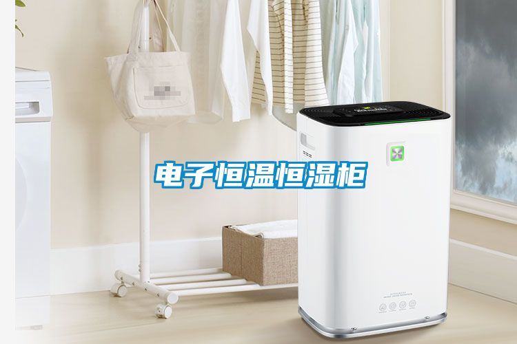 電子恒溫恒濕柜