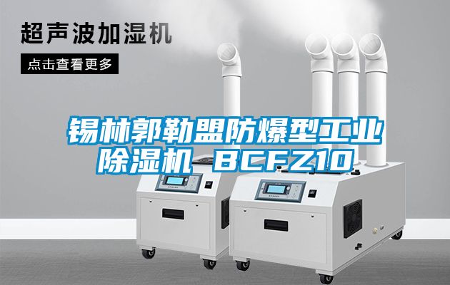 錫林郭勒盟防爆型工業除濕機 BCFZ10