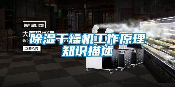 除濕干燥機工作原理知識描述