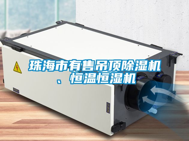 珠海市有售吊頂除濕機、恒溫恒濕機
