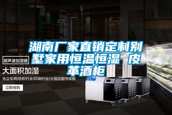 湖南廠家直銷定制別墅家用恒溫恒濕 皮革酒柜