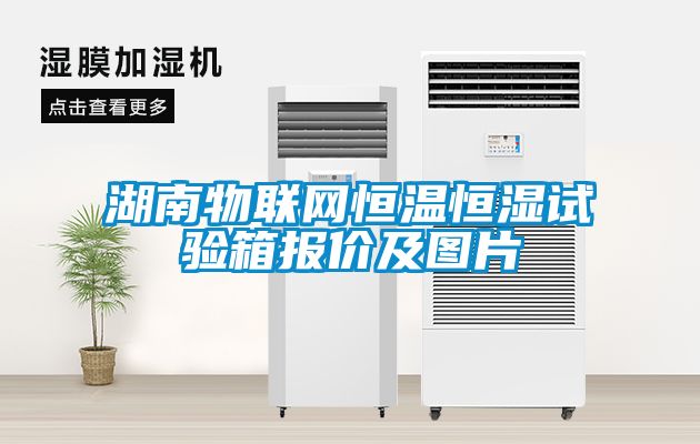 湖南物聯網恒溫恒濕試驗箱報價及圖片
