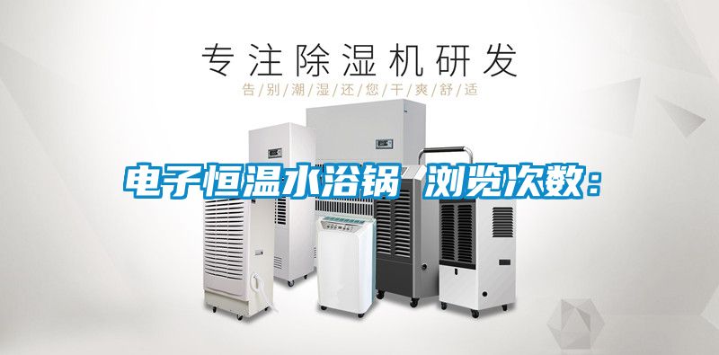 電子恒溫水浴鍋　　瀏覽次數：