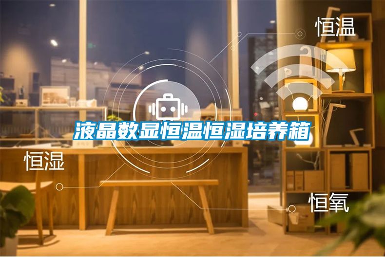 液晶數顯恒溫恒濕培養箱