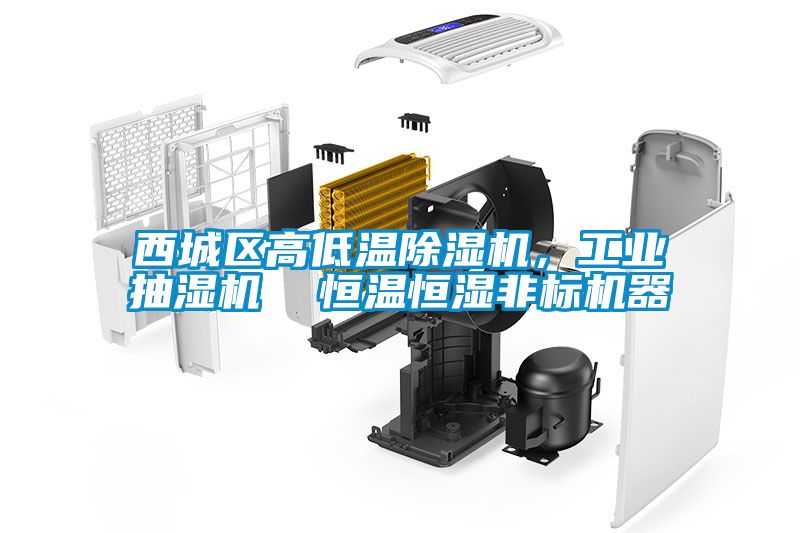 西城區(qū)高低溫除濕機(jī)，工業(yè)抽濕機(jī)  恒溫恒濕非標(biāo)機(jī)器