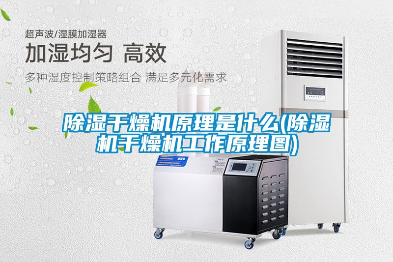 除濕干燥機原理是什么(除濕機干燥機工作原理圖)