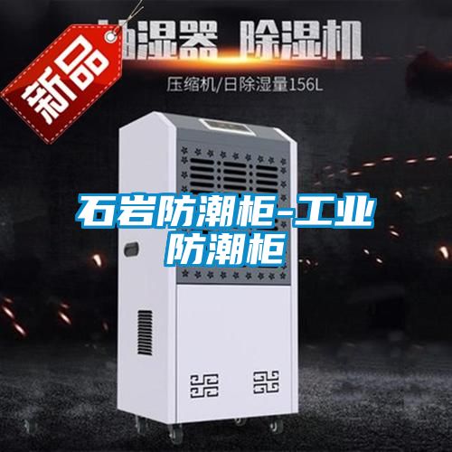 石巖防潮柜-工業(yè)防潮柜