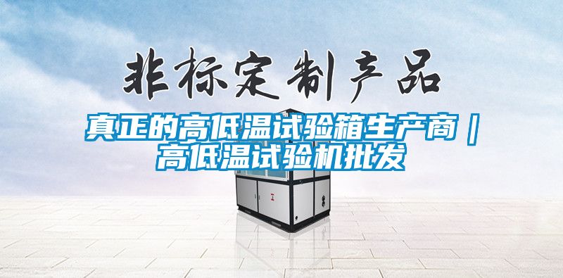 真正的高低溫試驗箱生產商｜高低溫試驗機批發