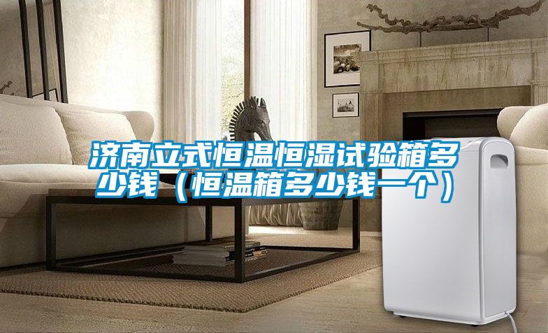 濟(jì)南立式恒溫恒濕試驗(yàn)箱多少錢（恒溫箱多少錢一個）