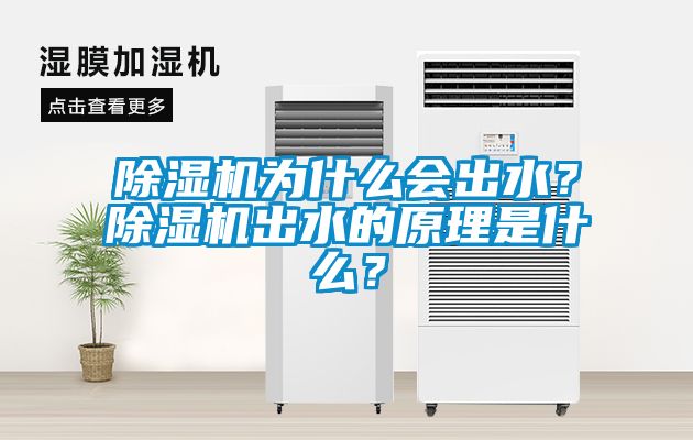 除濕機為什么會出水？除濕機出水的原理是什么？