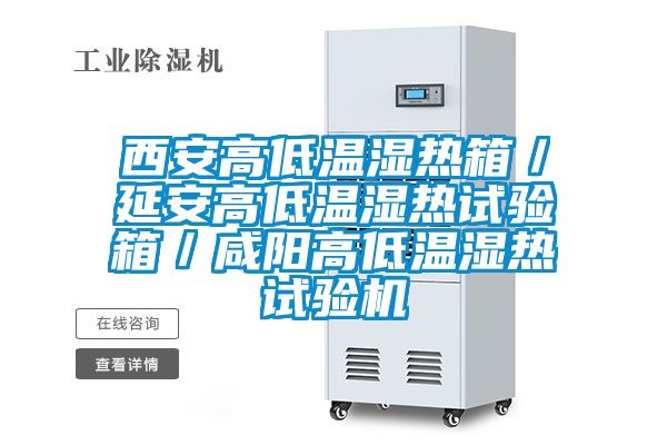 西安高低溫濕熱箱／延安高低溫濕熱試驗(yàn)箱／咸陽(yáng)高低溫濕熱試驗(yàn)機(jī)