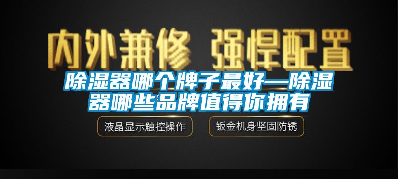 除濕器哪個牌子最好—除濕器哪些品牌值得你擁有