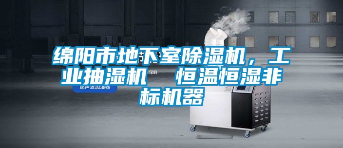 綿陽市地下室除濕機，工業(yè)抽濕機  恒溫恒濕非標機器