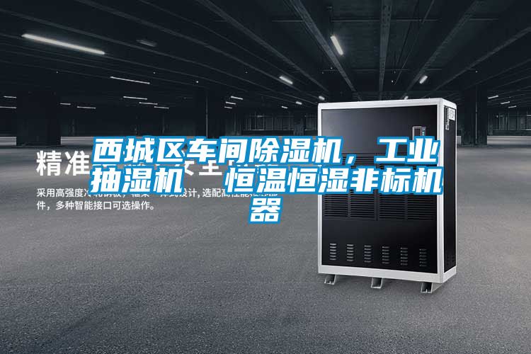 西城區車間除濕機，工業抽濕機  恒溫恒濕非標機器