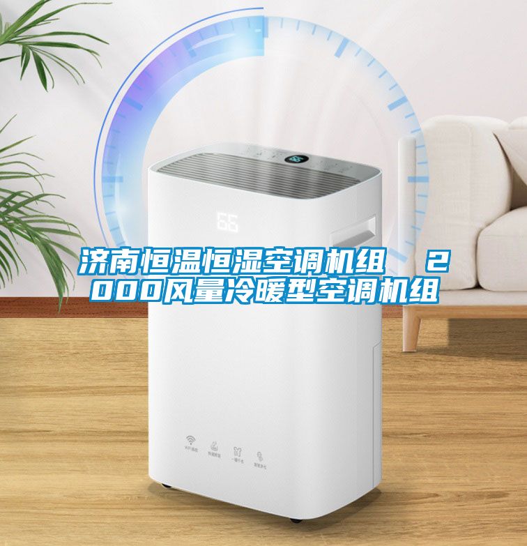 濟南恒溫恒濕空調(diào)機組  2000風(fēng)量冷暖型空調(diào)機組